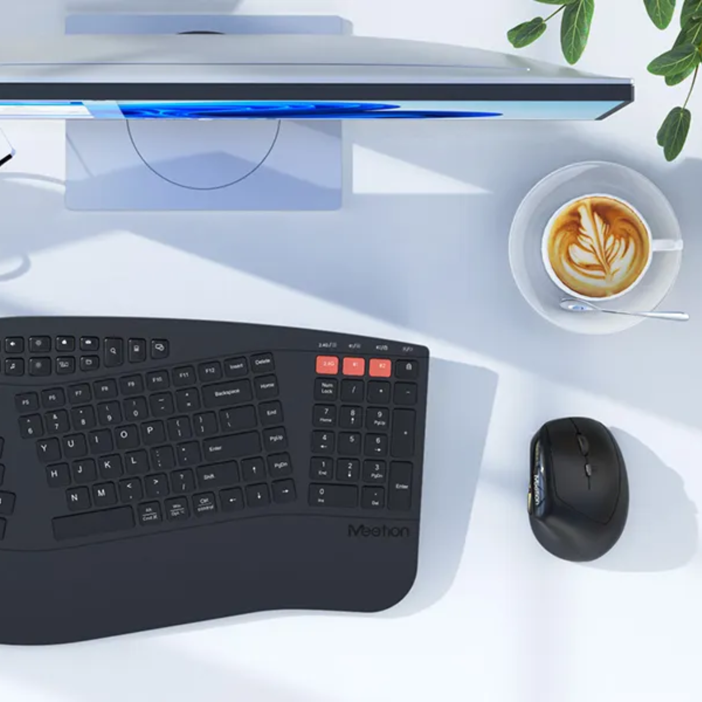 ERGONOMIC WIRELESS MOUSE - DUAL MODE ( BTM008)